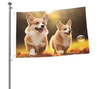 Simpatica bandiera per cani Corgi da 0,8 x 0,9 m, stampa su entrambi i lati, bandiere da giardino, bandiera da cortile per esterni, bandiere per vacanze, banner regalo con occhielli sfondo fotografico