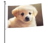 Simpatica bandiera per cani da 0,8 x 0,9 m stampa su entrambi i lati bandiere da giardino bandiera da cortile per esterni bandiere per feste banner regalo con occhielli sfondo fotografico per interni