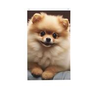 Simpatica bandiera per cani Pomerania, 9 x 1,5 m, verticale, doppia faccia, da giardino, per esterni, cortile, casa, divertente, decorazione per la casa, bandiere da giardino, poster da appendere alla