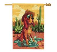 Simpatica bandiera per casa del cane Bloodhound, 71,1 x 101,6 cm, double-face, decorativa per esterni, divertente, con cactus, deserto, cortile, cortile, cortile, bandiera per la casa, per animali