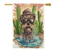 Simpatica bandiera per la casa del cane Cairn Terrier, 71,1 x 101,6 cm, double-face, decorativa per esterni, divertente, con cactus, deserto, cortile, cortile, cortile, bandiera per la casa, per