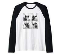Simpatici chihuahua con occhiali da sole simpatici animali domestici umorismo cani carini Maglia con Maniche Raglan