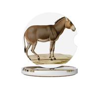 Simpatico asino stampato sottobicchiere in ceramica set di 2 pezzi set di sottobicchieri per auto adatto per accessori interni auto