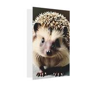 Simpatico biglietto di auguri con riccio, 10,2 x 15,2 cm, busta a forma di cuore, adatto per tutte le occasioni.