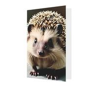 Simpatico biglietto di auguri con riccio, 10 x 15 cm, confezione a forma di cuore, adatto per tutte le occasioni.