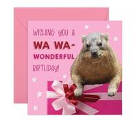 Simpatico biglietto di compleanno Hyrax - "Wishing You a Wa Wa-Wonderful Birthday!" - Biglietto di auguri con animali per lei, amici, sorella, collega, donne, donne - divertente e adorabile - viene