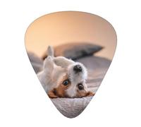 Simpatico cagnolino Jack Russell Terrier,12 pezzi di plettri per chitarra, 3 plettri di diverso spessore per chitarra acustica, basso, ukulele