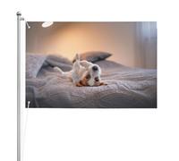 Simpatico cagnolino Jack Russell Terrier,Bandiera da giardino, bandiera decorativa da cortile, bandiera bifacciale, 2x3 piedi, per esterni e interni