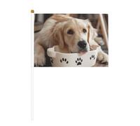 Simpatico cane Bone Bowl Woof stampa zampa bilaterale bandiere tenuto in mano all'aperto interno decorativo sport giochi festival eventi bandiera
