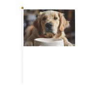 Simpatico cane Bone Bowl Woof stampa zampa bilaterale bandiere tenuto in mano all'aperto interno decorativo sport giochi festival eventi bandiera