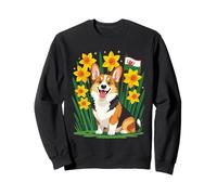 Simpatico Cane Corgi tra narcisi Che sostengono Il Galles Felpa
