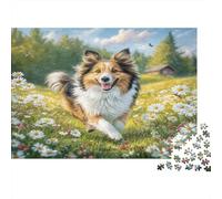 Simpatico Cane Domestico 1000 Pezzi per Adulti Aussie Shepherd tra le Margherite Gioco di Famiglia Divertente e Stimolare Ottimo Regalo 70x50cm/1000 pezzi