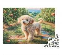 Simpatico Cane Domestico Puzzle Educativo per Adulti Barboncino nel Frutteto Gioco da 1000 Pezzi per Decorazione Casa 38x26cm/1000 pezzi