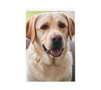 Simpatico cane Labrador Benvenuto Giardino Bandiera 2x3 Ft No Fade Double Sided Casa Yard Bandiere Outdoor Banner Decor Per Cortile Portico Prato