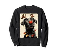 Simpatico Cane Labrador Retriever Natalizio luci Festive Felpa