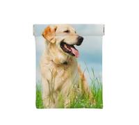 Simpatico cane Labrador stampato, Spremere il portafoglio superiore da donna Borsa portaoggetti Piccola portamonete Portamonete