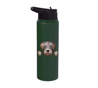 Simpatico cane WPG divertente con grifone che sbircia il cucciolo di Wirehaired Stainless Steel Insulated Water Bottle