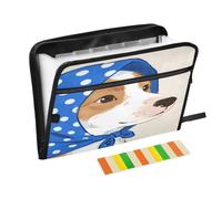 Simpatico cartone animato bianco cane organizzatore con tasca 13 tasche formato A4 lettera con chiusura a cerniera per la conservazione dei documenti dovere espansione File carpetas de