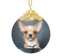 Simpatico chihuahua rotondo in vetro ornamento con chiusura, 8,3 cm decorazione per casa e negozio