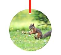 Simpatico ciondolo rotondo in vetro con stampa di scoiattolo - Ornamento da appendere all'albero di Natale per vacanze, casa, ufficio e decorazione per feste