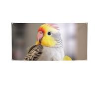 Simpatico Cockatiel Banner e cartelli per esterni e interni Decorazione per feste Banner personalizzato con occhielli Sfondo di compleanno Sfondo Poster Foto Sfondo per eventi di nozze Piccolo