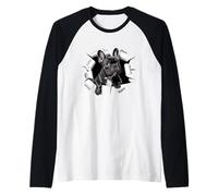 Simpatico Cucciolo di Bulldog Francese Attraverso Il Foro di Carta Maglia con Maniche Raglan