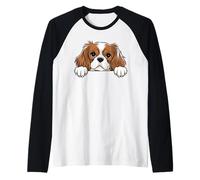 Simpatico Cucciolo di Cavalier King Charles Spaniel Divertente Amante dei Cani Maglia con Maniche Raglan