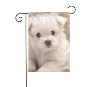 Simpatico cucciolo maltese Bandiera da giardino pasquale Bandiere da giardino primaverile Bandiere da giardino per il giorno di San Patrizio Decorazioni per esterni 12 pollici x 18 pollici Verticale b