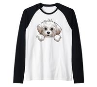 Simpatico Cucciolo Maltese Che sbircia Divertente Amante dei Cani maltesi Maglia con Maniche Raglan
