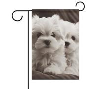 Simpatico cucciolo maltese estate giardino bandiera doppia faccia 30,5 x 45,7 cm bandiere da giardino primavera sole bandiere da giardino stagionale benvenuto all'aperto bandiera decorazione