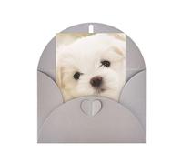 Simpatico cucciolo maltese stampa verticale carta bianca auguri di ringraziamento per te (Thinking of You biglietto di compleanno)