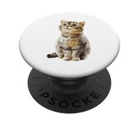 Simpatico gatto soriano curioso sguardo felino amante degli animali domestici PopSockets PopGrip Adesivo