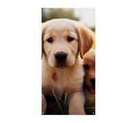 Simpatico Golden Retriever cucciolo copertura banner benvenuto ingresso banner festa decorazioni festa festa compleanno banner per celebrazioni festive 178 x 89 cm