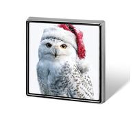 Simpatico gufo delle nevi che indossa cappello di Babbo Natale rosso spille unisex spille e spille quadrate leggere bavero distintivo gioielli per abbigliamento scialle cappello