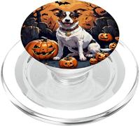 Simpatico Jack Russell, Una casa stregata spettrale e Luna PopSockets PopGrip per MagSafe