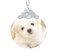 Simpatico ornamento da appendere a forma di cucciolo di maltese, ciondolo rotondo in vetro per albero di Natale, decorazione per la casa