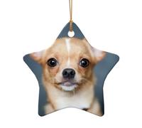 Simpatico ornamento da appendere all'albero di Natale con chihuahua, stella in ceramica e ciondolo a forma di cuore per albero di Natale decorazione per le