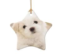 Simpatico ornamento da appendere all'albero di Natale con stampa di cucciolo maltese, ciondolo in ceramica a forma di stella e cuore per albero di Natale decorazione per