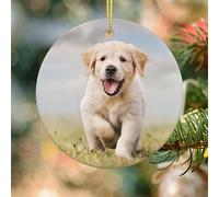 Simpatico ornamento natalizio a forma di cucciolo di Golden Retriever, 7,6 cm, rotondo, in ceramica, da appendere, per albero di Natale