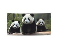 Simpatico panda banner e segni all'aperto decorazione per feste banner personalizzato con occhielli sfondo compleanno segno poster sfondo foto sfondo per eventi di nozze piccolo