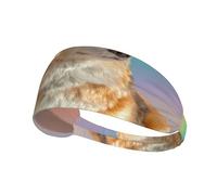 Simpatico papillon sportivo per cani di piccola taglia, unisex, comodo ed elegante, per tutte le attività