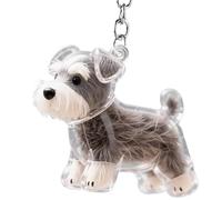 Simpatico portachiavi per animali domestici | portachiavi come contenitore per capelli di cane, ciondolo trasparente per riporre i capelli, gioiello da tasca per cellulare, borsa per il