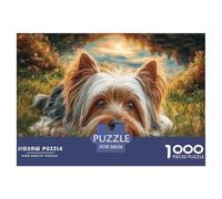 Simpatico puzzle con cartone riciclato a forma di cane: Yorkshire terrier sdraiato sull'erba al tramonto per adulti e bambini dai 12 anni in su, ottimo regalo, 38x26 cm/1000 pezzi