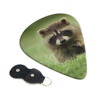 Simpatico Raccoon Stampato Plettri per Chitarra 6 Pz Plettro Chitarra Acustica Elettrica Plettro Per Basso Chitarre Acustiche Elettriche Ukulele Sottile Medio Spessore Set 0.46