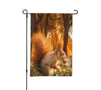 Simpatico scoiattolo che mangia noci,Bandiera da giardino per esterni e interni, stendardo decorativo bifacciale 30x45 cm