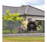 Simpatico striscione con cane Terranova e cartelli da appendere alla parete, bandiera con corda per appenderlo, 61 x 119 cm, per feste, poster per feste, per interni ed esterni, Capodanno, laurea