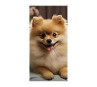 Simpatico striscione per porta con cane Pomerania, cartello di benvenuto per ingresso, striscione per feste, decorazioni per feste di compleanno, striscione per celebrazioni festive, 178 x 89 cm