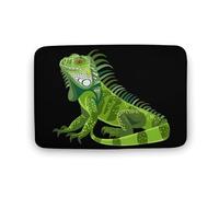 Simpatico tappetino da cucina con stampa di iguana verde, lavabile, tappetino da doccia, tappeto per bagno, soggiorno, 50 x 40 cm, 80 x 50 cm