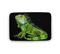 Simpatico tappetino da cucina con stampa di iguana verde, lavabile, tappetino da doccia, tappeto per bagno, soggiorno, 50 x 40 cm, 80 x 50 cm