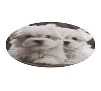 Simpatico tappeto rotondo a forma di cucciolo di maltese, morbido, assorbente, tappetino da bagno per ingresso, antiscivolo, tappetino per porta anteriore e posteriore, 80 x 80 cm, per camera da letto